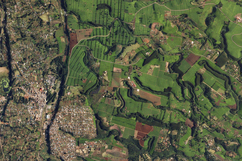 Aerial view of Malawi agricultural fields